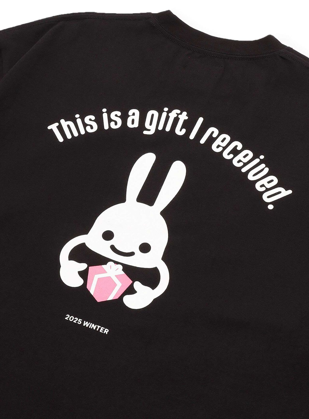 PTGC 2025 WINTER Big Tee - "Inside Out",BLACK, large image number 5