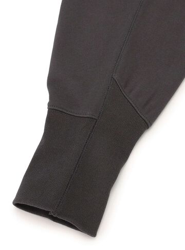 31st ANNIV Heavyweight Big Zip Hoodie - Gate,C.GRAY, small image number 5