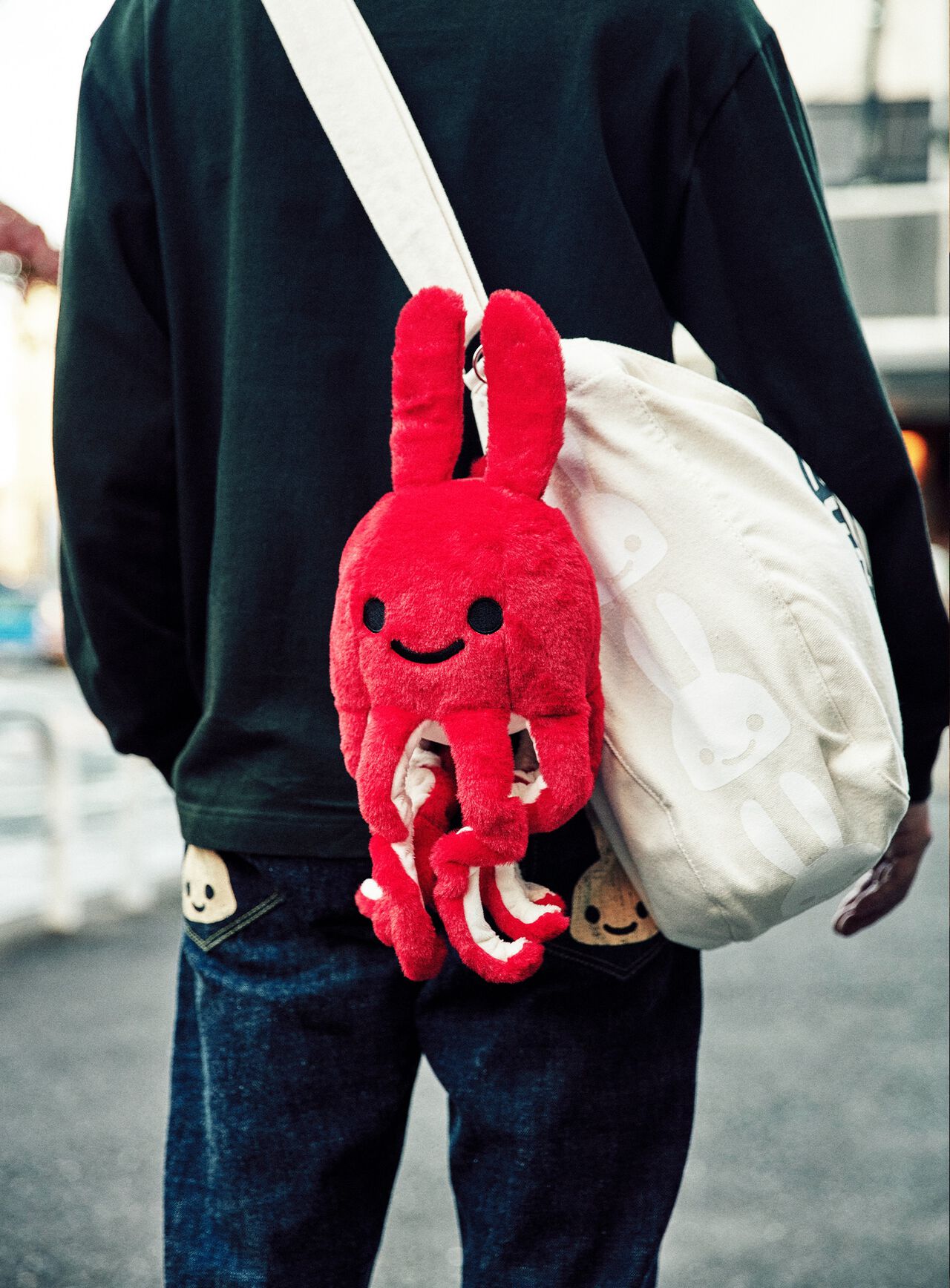 common octopus (Octopus vulgaris),ONE, large image number 12