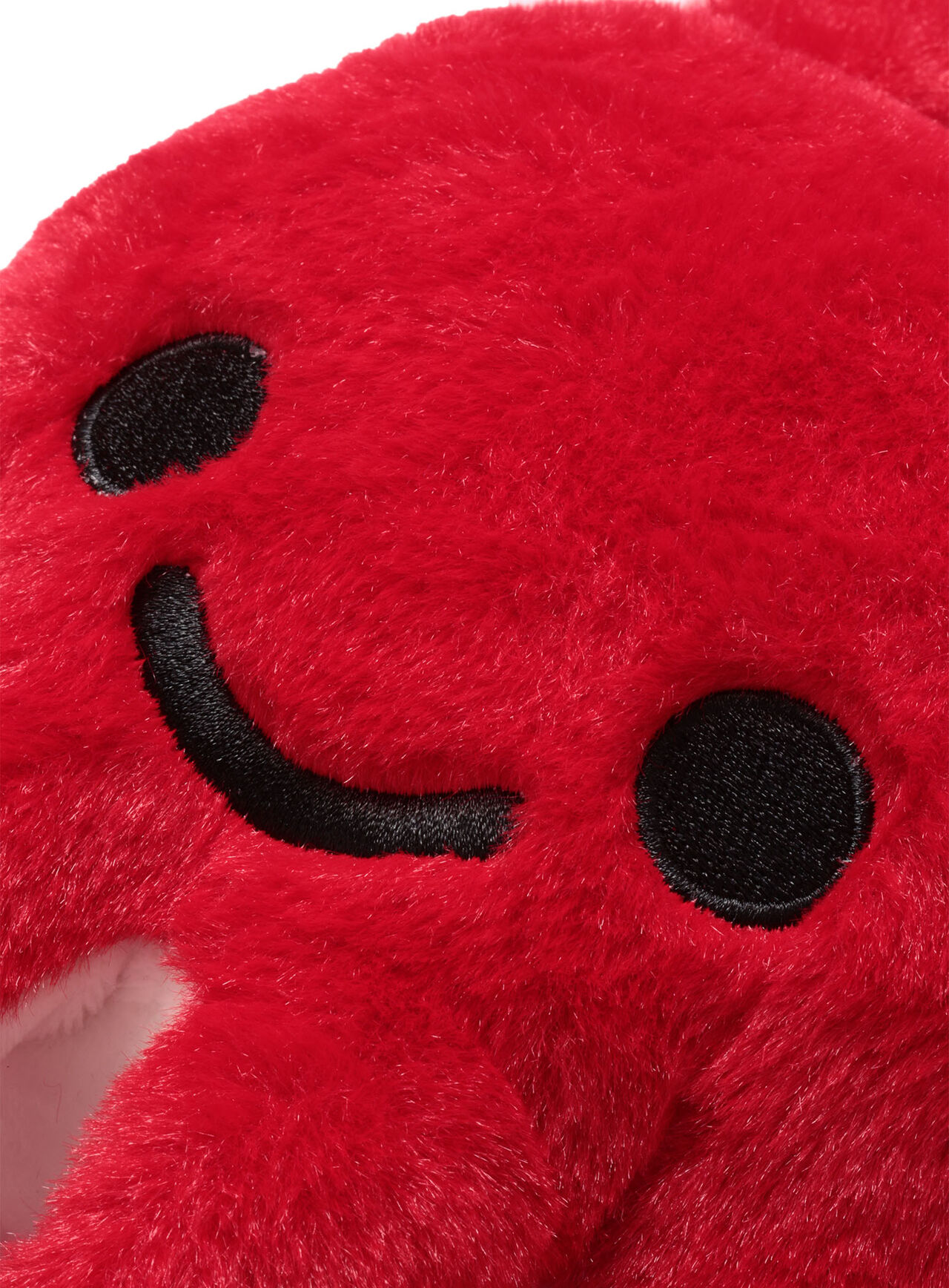 common octopus (Octopus vulgaris),ONE, large image number 3