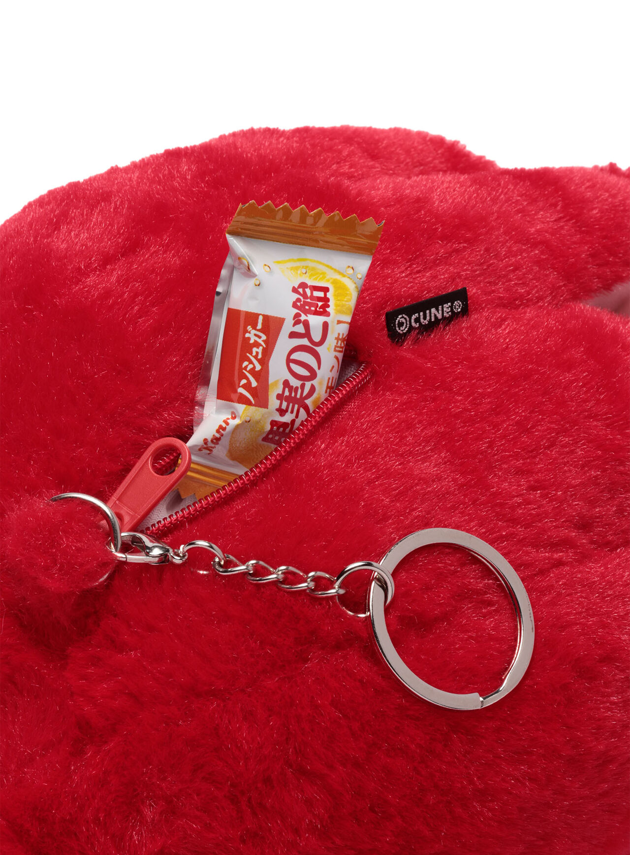 common octopus (Octopus vulgaris),ONE, large image number 4