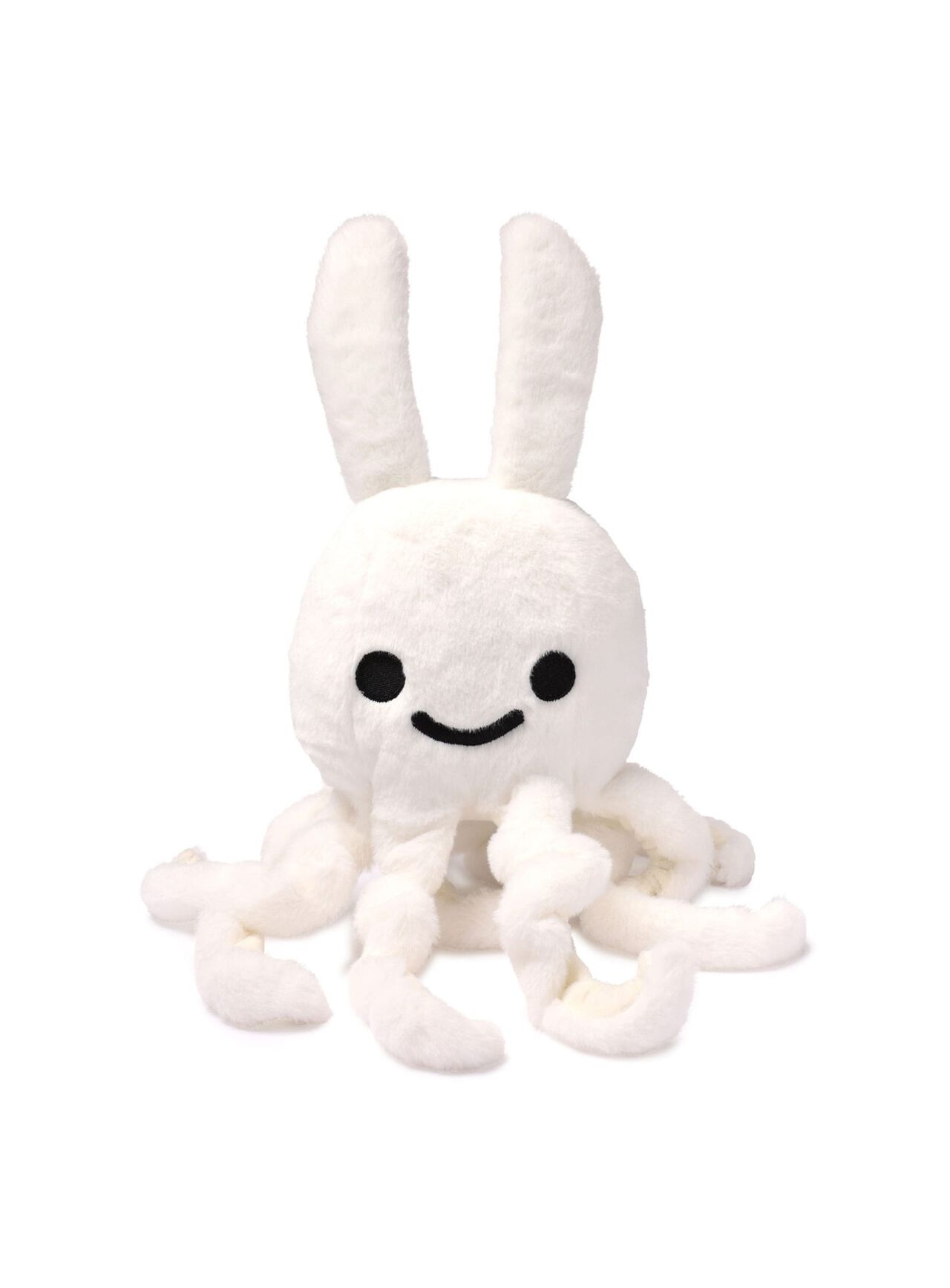 common octopus (Octopus vulgaris),ONE, large image number 0