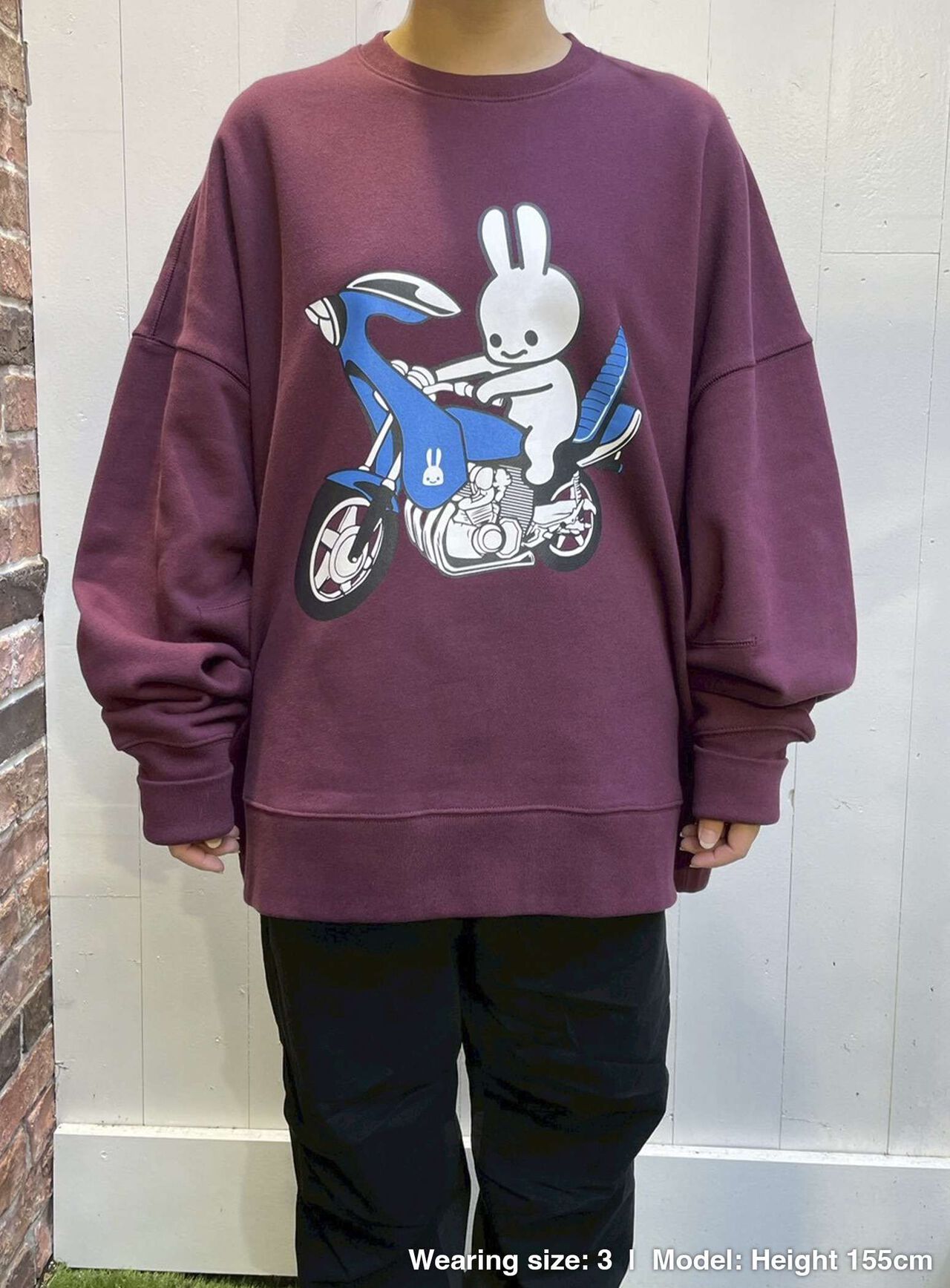 Heavyweight Big Crew Neck Sweatshirt: Bunny and Bike,, large image number 8