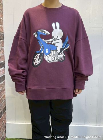 Heavyweight Big Crew Neck Sweatshirt: Bunny and Bike,, small image number 8