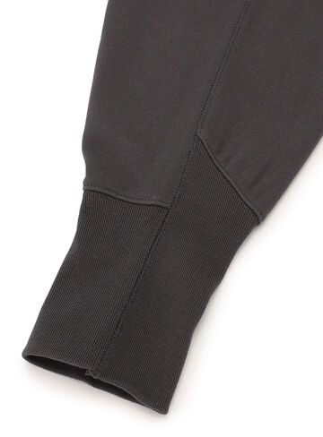 31st ANNIV Heavyweight Big Zip Hoodie - Sai,C.GRAY, small image number 5