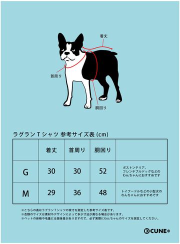 Dog and Human Raglan T-Shirt - CUNE Rabbit,WHITE, small image number 5