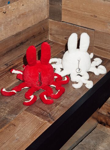 common octopus (Octopus vulgaris),ONE, small image number 8