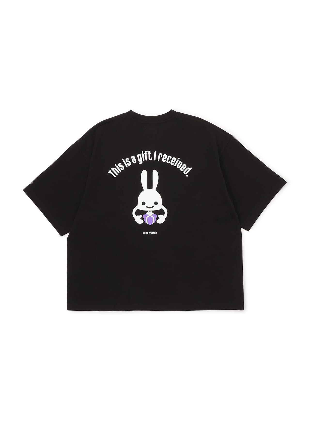 PTGC 2025 WINTER Big Tee - Cat,BLACK, large image number 1