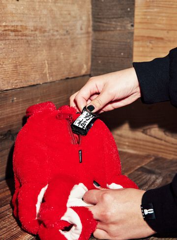 common octopus (Octopus vulgaris),ONE, small image number 11