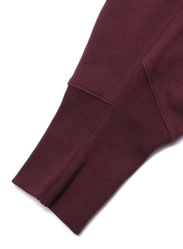 Heavyweight Big Hoodie: Tobacco and Bunny,, small image number 5