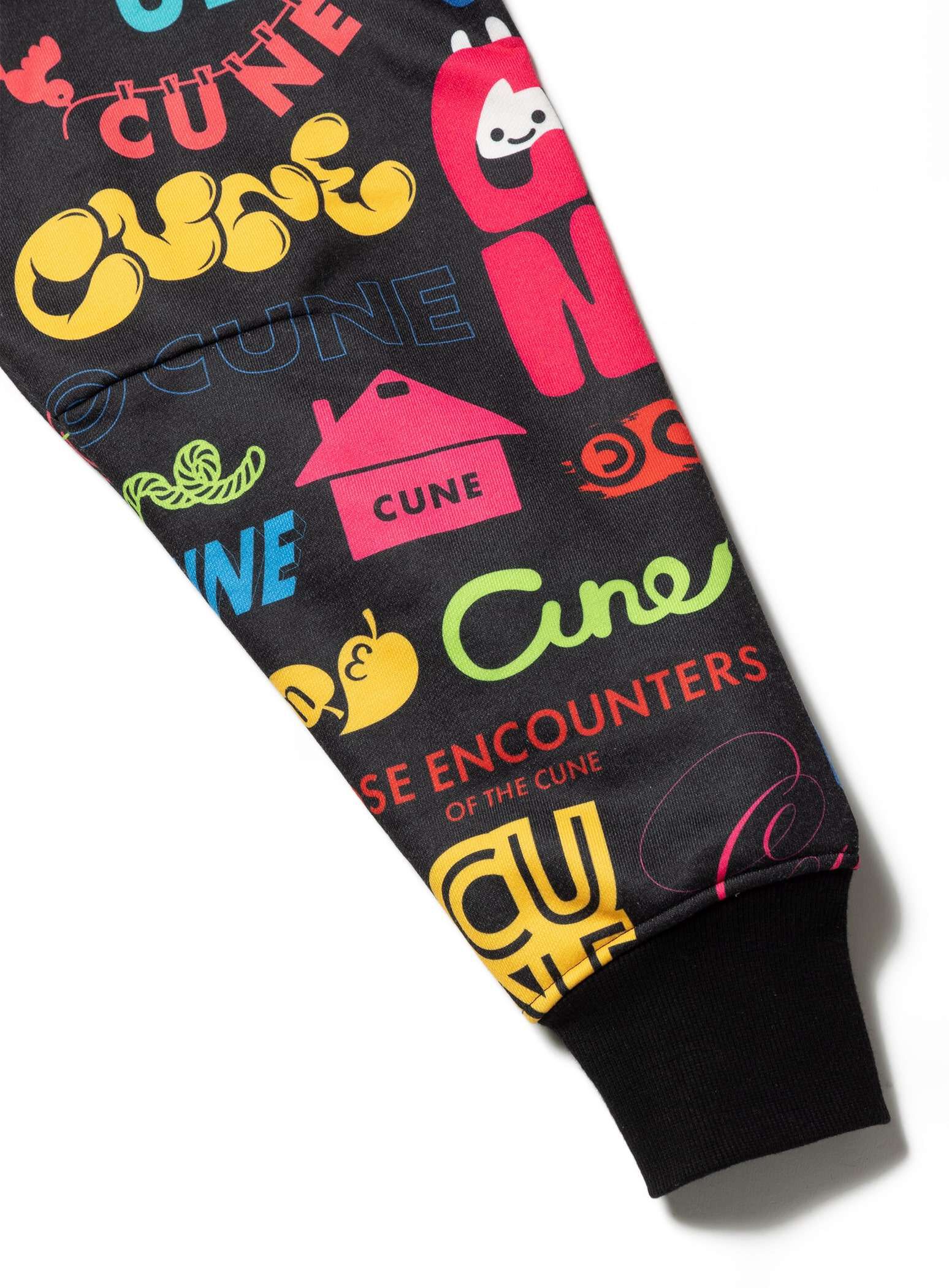 30th ANNIV Hoodie with lots of logos