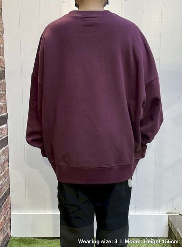 Heavyweight Big Crew Neck Sweatshirt: Bunny and Bike,, small image number 9